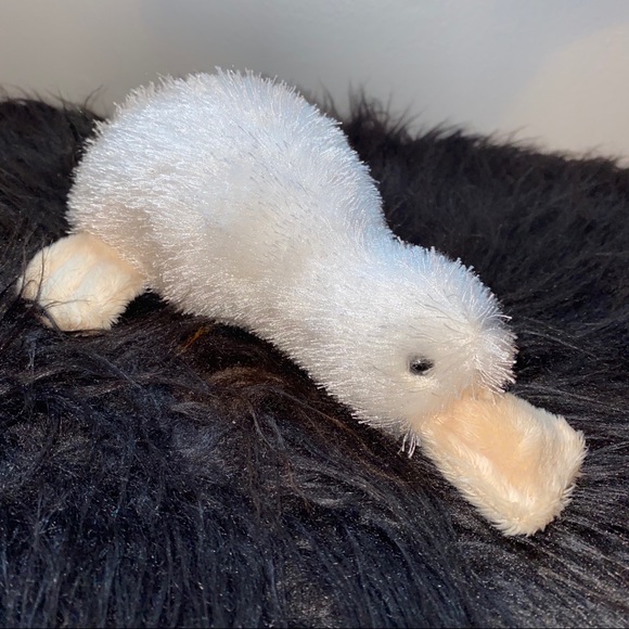 Webkinz - Picture 10 of 16